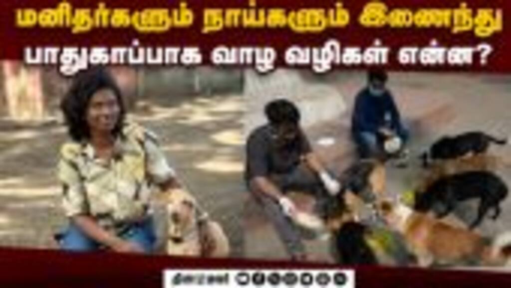 நாய்கள் மனிதர்களுக்கு பகை அல்ல, நண்பர்கள்! - டினா