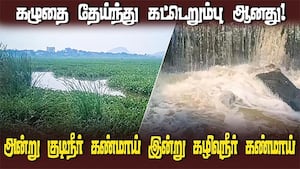 அன்று குடிநீர்  கண்மாய்  இன்று கழிவுநீர் கண்மாய்  