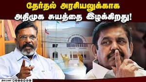 பாஜ கட்டுப்பாட்டில் தேர்தல் ஆணையம்: திருமாவளவன் புகார்  