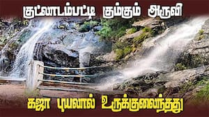 புனரமைக்க வனத்துறை மனது வைக்குமா?  