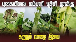 முன்னெச்சரிக்கை செய்யாததால் விவசாயிகள் தவிப்பு  