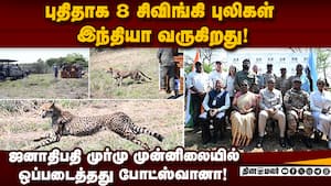 ஜனாதிபதி திரவுபதி முர்மு சுற்றுபயணத்தின் போது பரிசு வழங்கிய போட்ஸ்வானா! Droupadi Murmu  