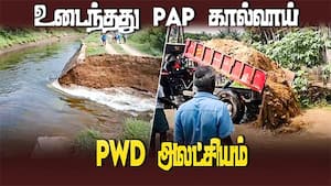 வெள்ளத்தில் அடித்து செல்லப்பட்ட 1 லட்சம் தேங்காய்  