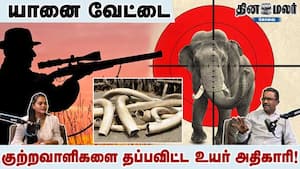 யானை வேட்டை  