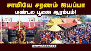 சபரிமலை கோயில் நடை திறப்பு: பக்தர்கள் சரண கோஷம்  