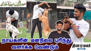 நாய்களின் மனநிலை புரிந்து வளர்க்க வேண்டும்