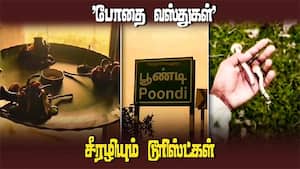 மேஜிக் மஸ்ரூமா எனும் போதை காளான் தேடும் இளசுகள்  