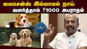 மாவட்ட செய்திகள் | 22-11-2025 img