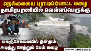 நெல்லையில் ஊற்றிய மழை... தாமிரபரணியில் வெள்ளம் rain alert  