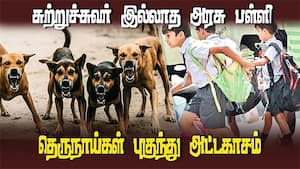 தெரு நாய்கள், பாம்புகள் படையெடுப்பால் மாணவர்கள் அச்சம்  