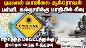 பள்ளி, கல்லூரிகளுக்கு பாதியில் விடுமுறை tn heavy rain  