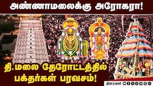 திருவண்ணாமலையில் கார்த்திகை தீப திருவிழா தேரோட்டம் கோலாகலம்! Karthigai Festival  