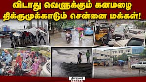 டிட்வா புயல் வலுவிழந்த போதிலும் சென்னையில் அடித்து ஊற்றும் மழை! Cyclone Ditwah  