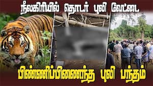 34 கண்காணிப்பு கேமரா பொருத்தப்பட்டுள்ளது 