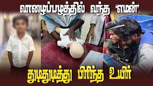 குழந்தைக்களுக்கு fruits கொடுக்கும் பெற்றோர் கவனத்திற்கு!  