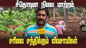 ஆடிப்பட்டம் தேடி விதைத்த காலம் மலையேறி விட்டது | Climate Change img