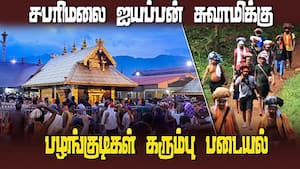 16 சிறுவர், சிறுமியர் உட்பட 167 கேரளா கோட்டூர் பழங்குடியினர் சபரிமலை நடை பயணம்  