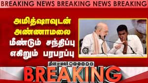 BREAKING டில்லியில் அண்ணாமலை... அடுத்த பரபரப்பு  