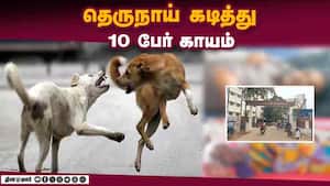 மாவட்ட செய்திகள் | 12-12-2025 img
