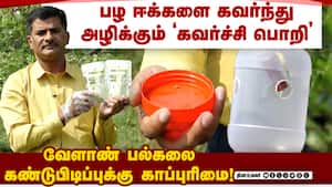 நானோ தொழில்நுட்ப பயன்பாடு; விளக்குகிறார் பேராசிரியர் கண்ணன் Fruit fly Catcher | Prof. Kannan img