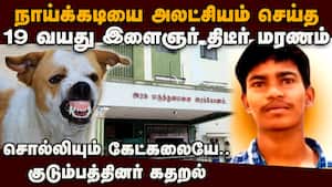 நாய்க்கடிக்கு சிகிச்சை பெறாத இளைஞர் திடீர் மரணம்: பரபரப்பு  