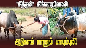 ஜல்லிக்கட்டு போட்டி என்றால் துள்ளிக்கிட்டு ஓடுவான் காரிய ‛சித்தன்'  