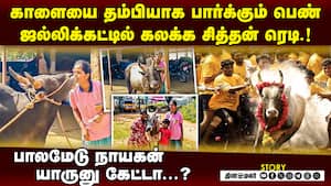 ஜல்லிக்கட்டு வீரர்களுக்கு சவால் விடும் பாலமேடு ‛சித்தன்'  