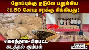 படகில் இலங்கைக்கு கஞ்சா கடத்த முயன்ற மாஃபியா  