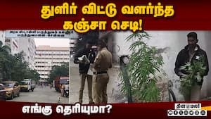 மக்கள் அதிகம் வந்து செல்லும் இடத்தில் கஞ்சா செடி வளர்ப்பு? Kanja Plant  