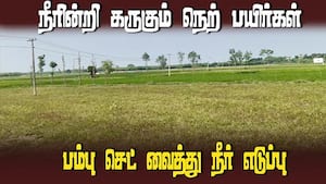 வரத்து கால்வாயில் மண் கொட்டி தண்ணீர் வர விடாமல் தடுப்பு  