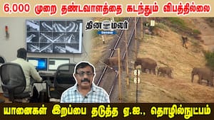 6,000 முறை தண்டவாளத்தை கடந்தும் விபத்தில்லை  யானைகள் இறப்பை தடுத்த ஏ.ஐ., தொழில்நுட்பம்