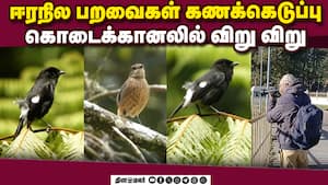 மாவட்ட செய்திகள் மாலை 4 மணி   