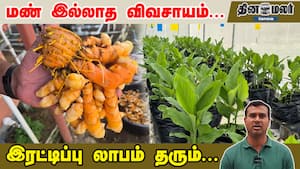 மண் இல்லாத விவசாயம்... இரட்டிப்பு லாபம் தரும்...