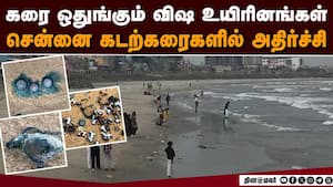 தொட்டாலே டேஞ்சர்: ஆபத்தை உணராமல் நெருங்கும் மக்கள்  