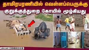மாவட்ட செய்திகள்  