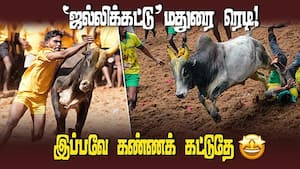 சான்றிதழ் பெற்ற காளைகள் மட்டுமே ஜல்லிக்கட்டு போட்டியில் பங்குபெற முடியும்  