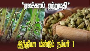 இந்திய ஏலக்காய் ஏற்றுமதியை நம்பியுள்ள சர்வதேச சந்தை | International cardamom exports img