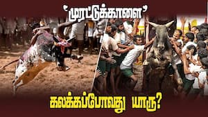 2026ம் ஆண்டு ஜல்லிக்கட்டு போட்டிக்கான வழிகாட்டு நெறிமுறைகள் அறிவிப்பு | Madurai img