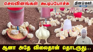 செலவினங்கள் கூடிப்போச்சு | ஆனா அதே விலைதான் தொடருது...