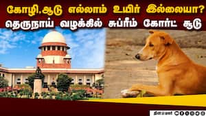 தெருநாய்கள் ஆதரவாளர்களுக்கு சுப்ரீம் கோர்ட் சுளீர் கேள்வி | Stray Dog Menace தெருநாய்கள் ஆதரவாளர்களுக்கு சுப்ரீம் கோர்ட் சுளீர் கேள்வி | Stray Dog Menace