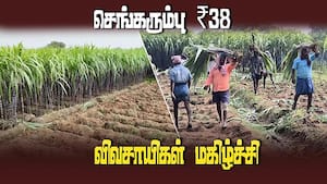 செங்கரும்பு ₹38க்கு கொள்முதல்; விவசாயிகள் கொண்டாட்டம் | Trichy