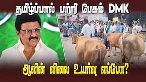 கறவை மாடுகளுடன் பால் உற்பத்தியாளர்கள் போராட்டம் | Government favouring private players Milk produce
