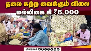 மாவட்ட செய்திகள் மாலை 4 மணி   