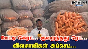 ஊட்டி கேரட்... குறைந்தது ரேட்... விவசாயிகள் அப்செட்...