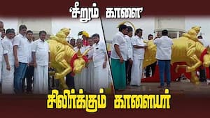 ₹2.50 லட்சம் செலவில் கண்கவர் காளை சிலை | Jallikattu
