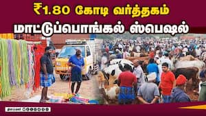 மாவட்ட செய்திகள்  