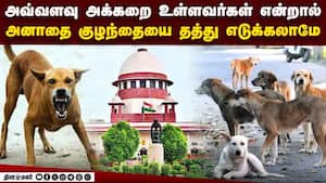 தெருநாய்களுக்கு ஆதரவாக நின்றவர்களுக்கு சூடு: சுப்ரீம் கோர்ட் அதிரடி  