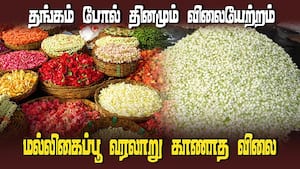 பொங்கலையொட்டி பூக்கள் விலை 5 மடங்கு உயர்வு  