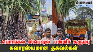 பொங்கல் ஸ்பெஷல் 'பன்னீர் கரும்பு' சுவாரஸ்யமான தகவல்கள்