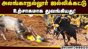 கோயில் காளைகளை அவிழ்த்து அலங்காநல்லூர் ஜல்லிக்கட்டு துவக்கம்! Alanganaullur Jallikattu  